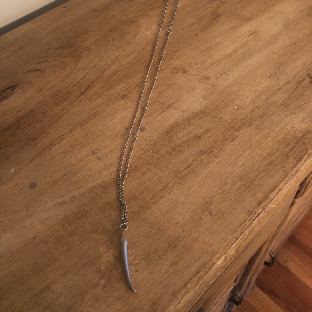 Long silver tone horn chain